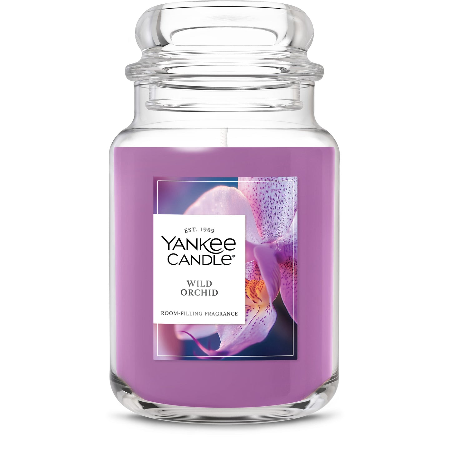 Wild Orchid Daily 4-0234