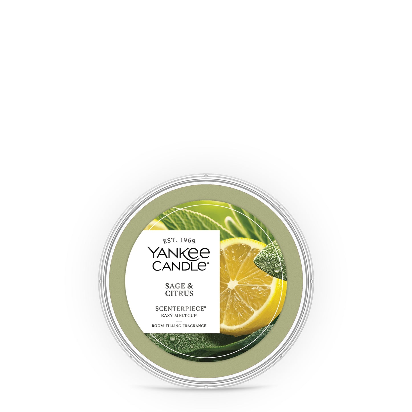 Sage & Citrus Studio 4-0882